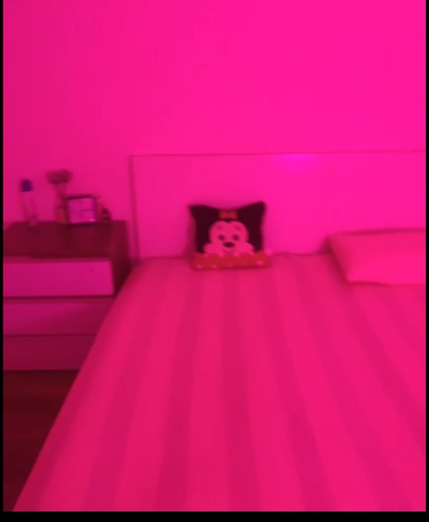 普陀彤彤亲测报告